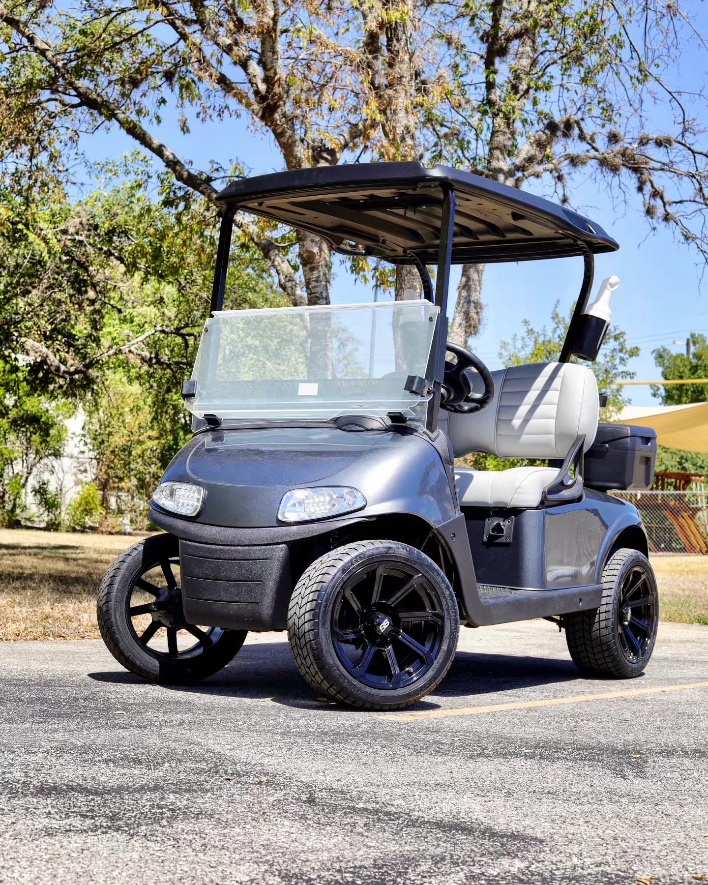 2016 EZGO RXV Lithium 2 Seater Gray Electric